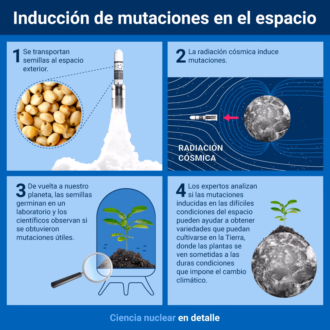¿Por qué el medio ambiente altera la regulación de los genes?