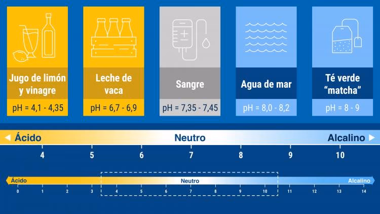¿Por qué el pH de un ambiente es crítico?