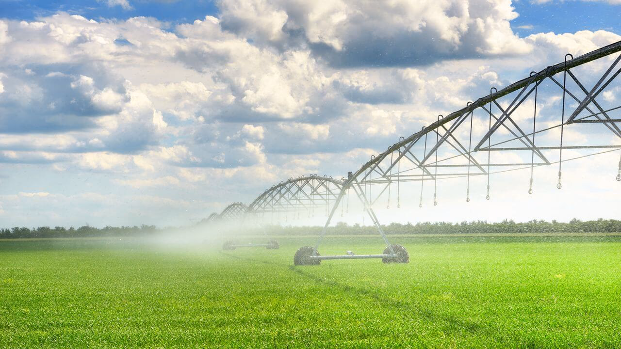 ¿Cómo reducir el uso del agua en la agricultura?