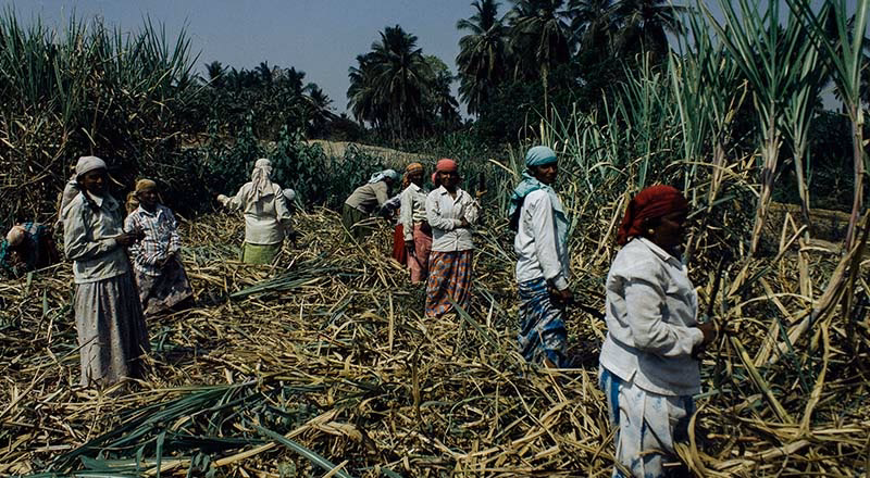 ¿Cuáles son las medidas de prevención y corrección de la contaminación industrial de la atmósfera?