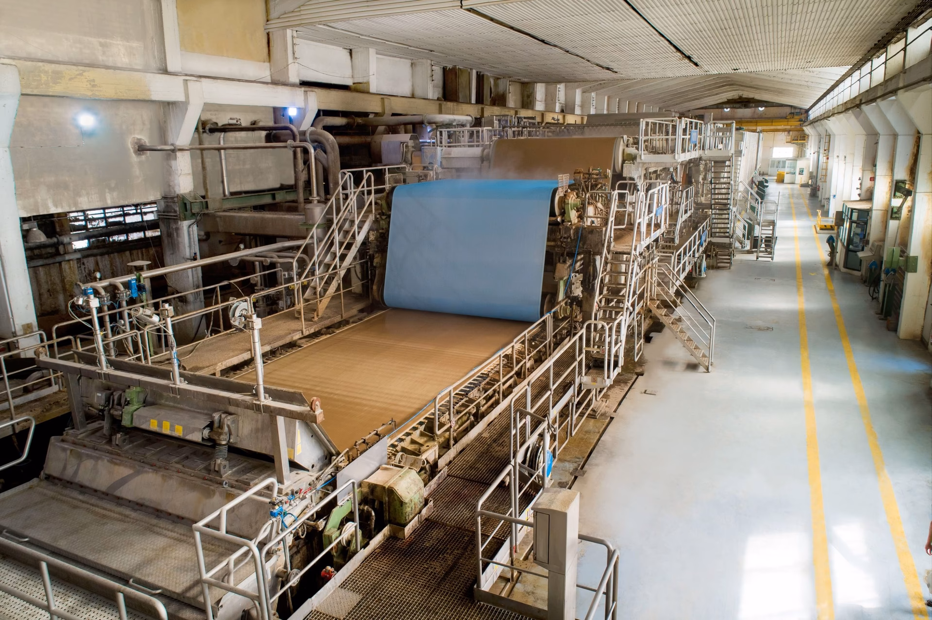 ¿Cuál es la empresa de papelera?