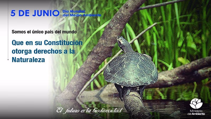 ¿Qué es la Declaración de Quito?