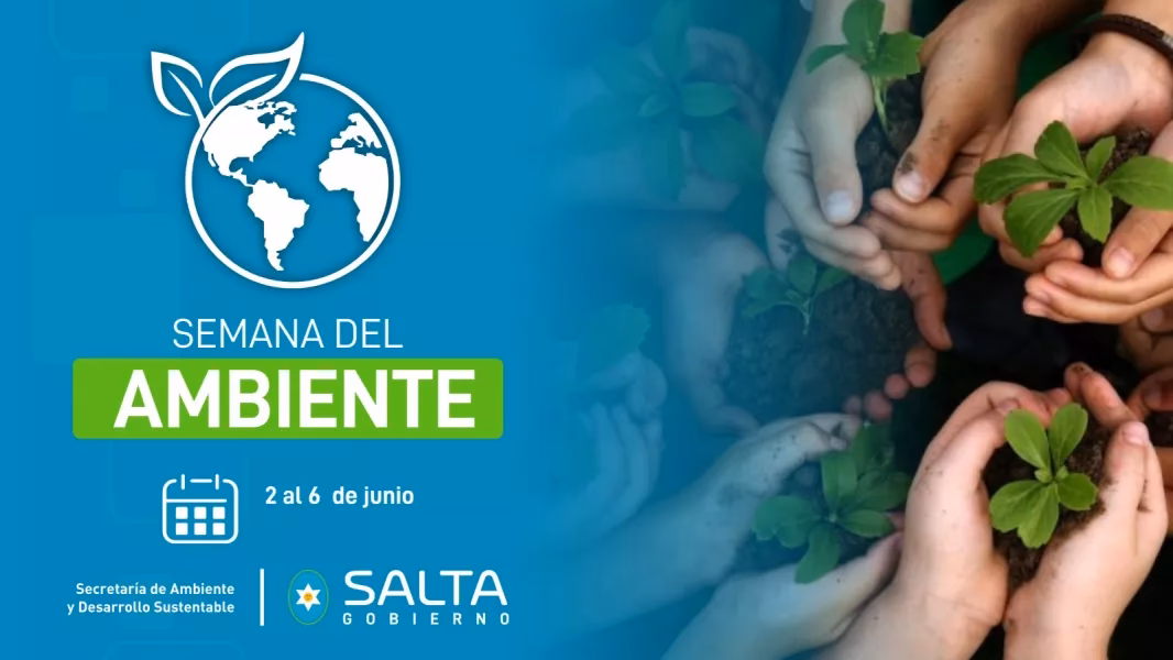 ¿Cuáles son los objetivos de la dirección de fitosanitarios?