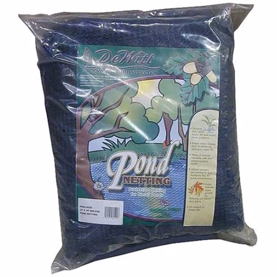 ¿Por qué las empresas no depuraron su información contable?