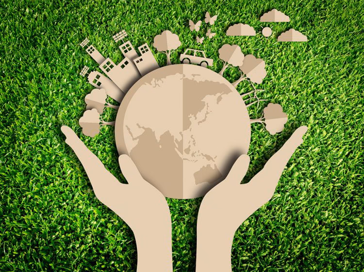 ¿Qué es la defensa de la tierra y el medio ambiente?