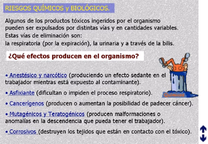 ¿Cómo actúan los agentes teratogénicos?