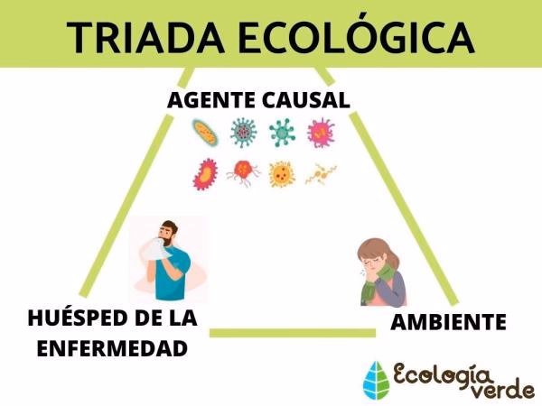 ¿Qué es un huésped susceptible?