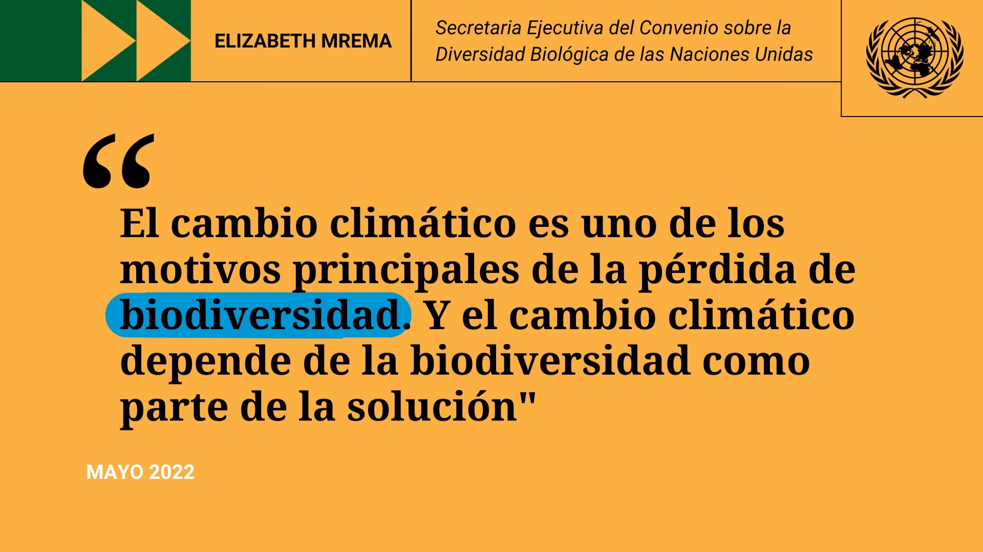 ¿Cuáles son los símbolos del cambio climático?