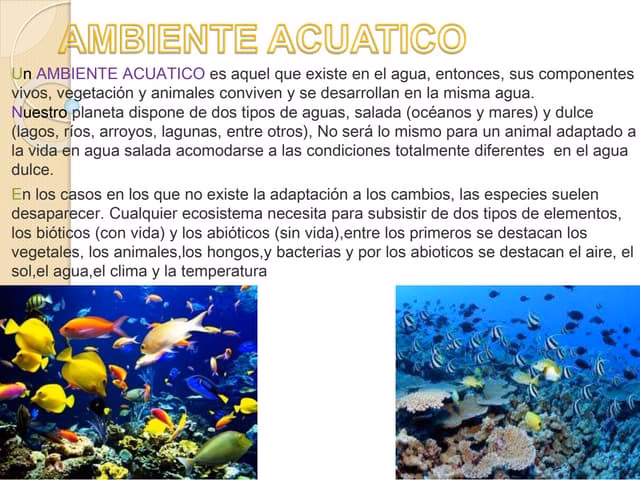 ¿Qué es un ecosistema acuático marino?