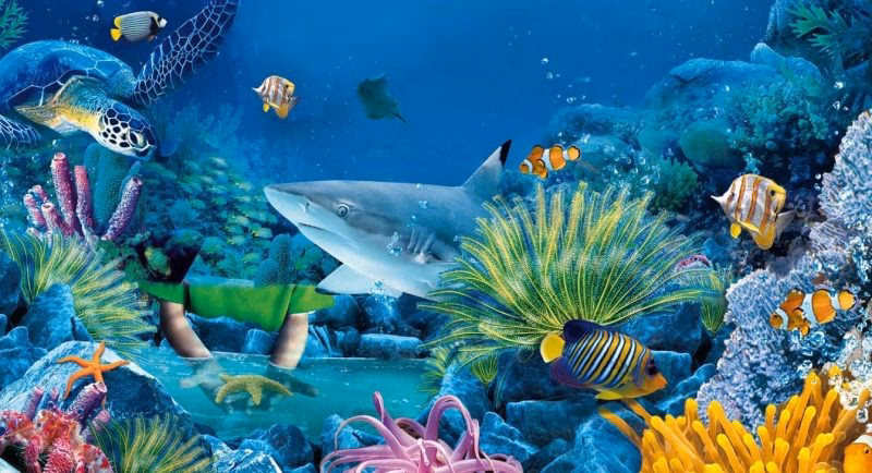 ¿Cómo se cita el ecosistema acuático?