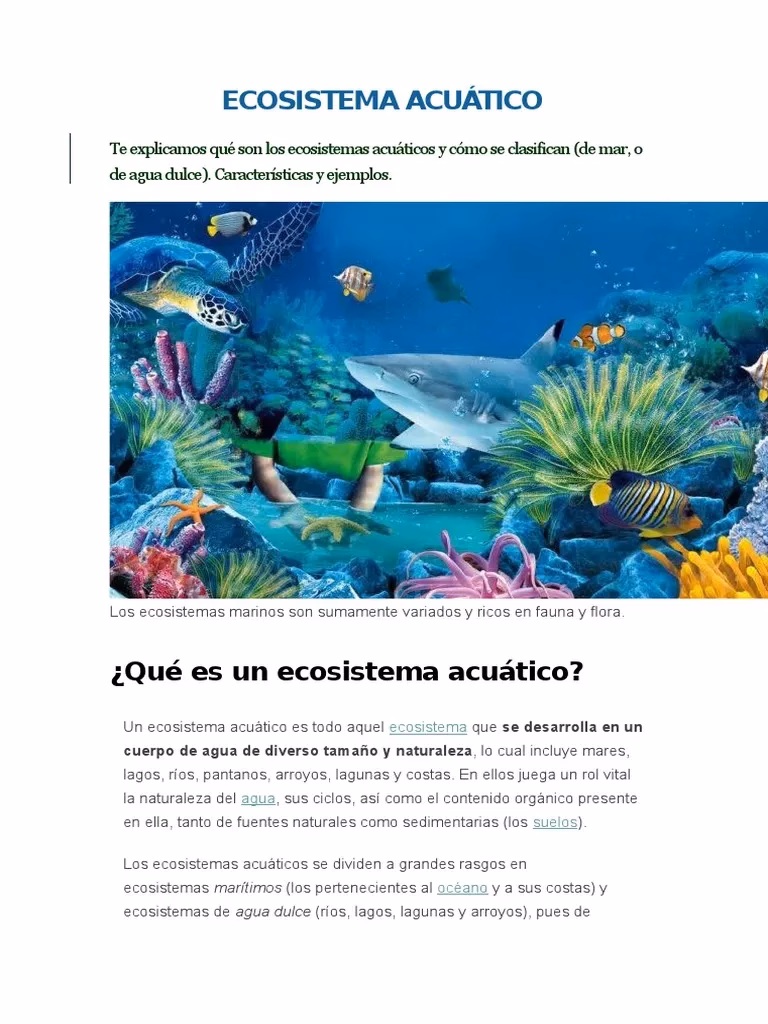 ¿Qué es el ecosistema acuático?