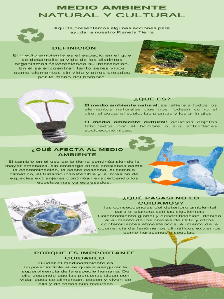 ¿Qué es el medio ambiente cultural?