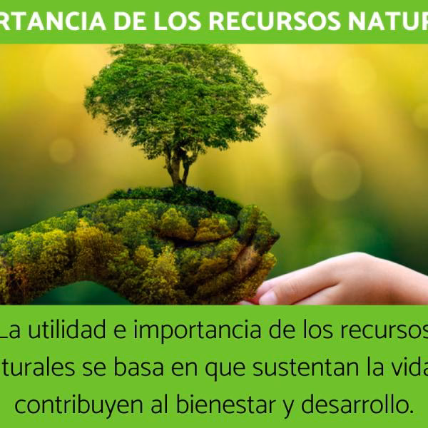¿Qué es un recurso natural?