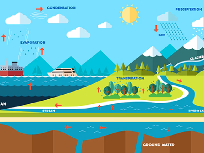 ¿Qué es la salinidad y ejemplos?