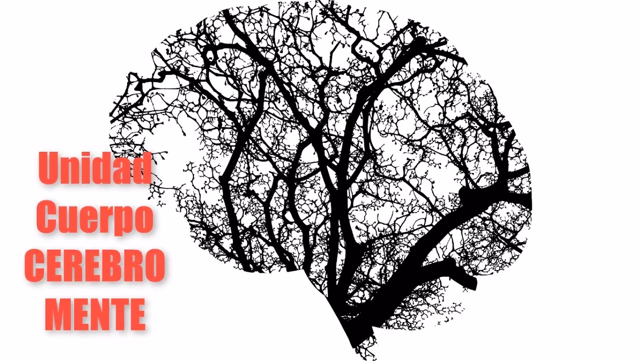 ¿Qué es la unidad corazón cerebro?
