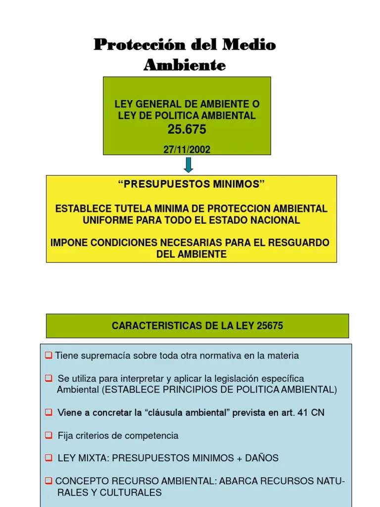 ¿Qué dice el artículo 5 de la Ley Ambiental?