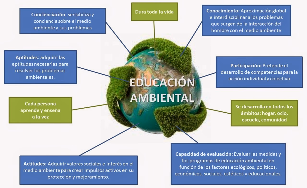 ¿Cuál es la importancia de la educación ambiental?