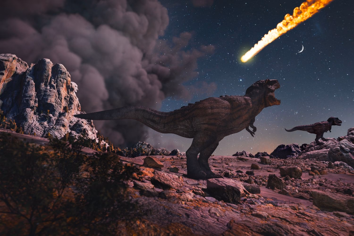 ¿Qué pasó con los bosques cuando desaparecieron los dinosaurios?