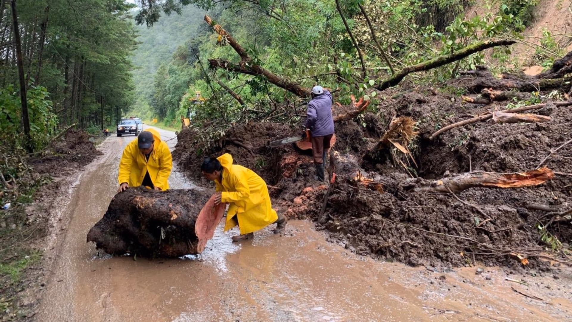 ¿Cómo afecta la deforestación a la población?