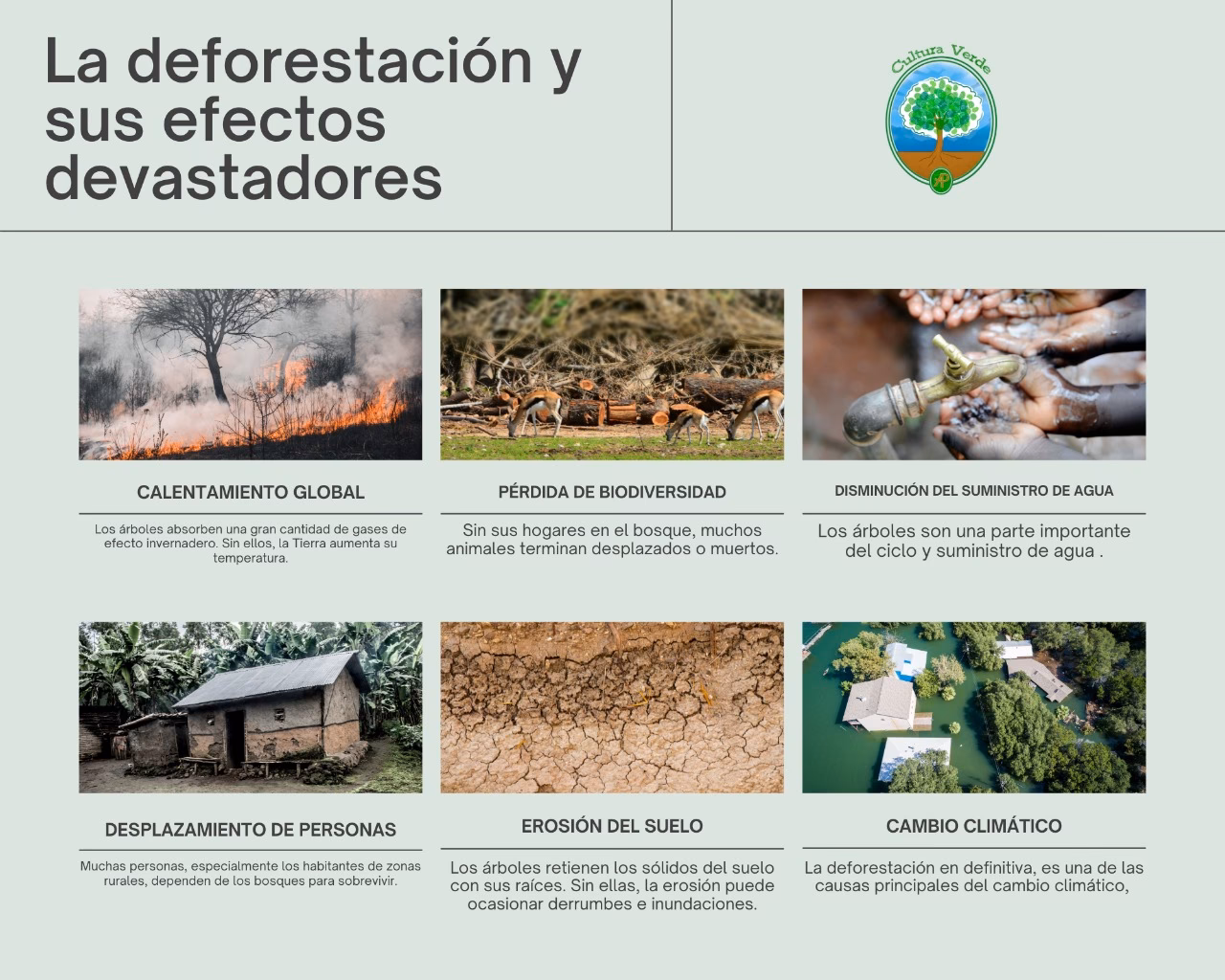¿Cómo afecta la deforestación a las comunidades indígenas?