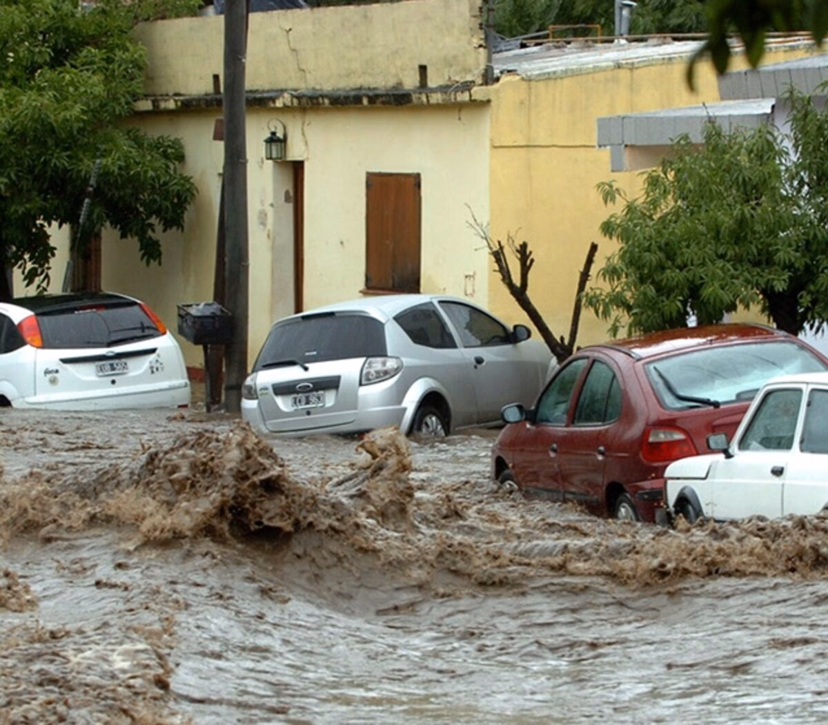 ¿Cuántos bosques nativos hay en Córdoba?