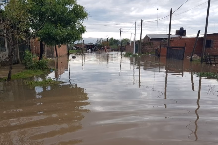 ¿Cuál es el panorama de la deforestación en el espinal entrerriano?
