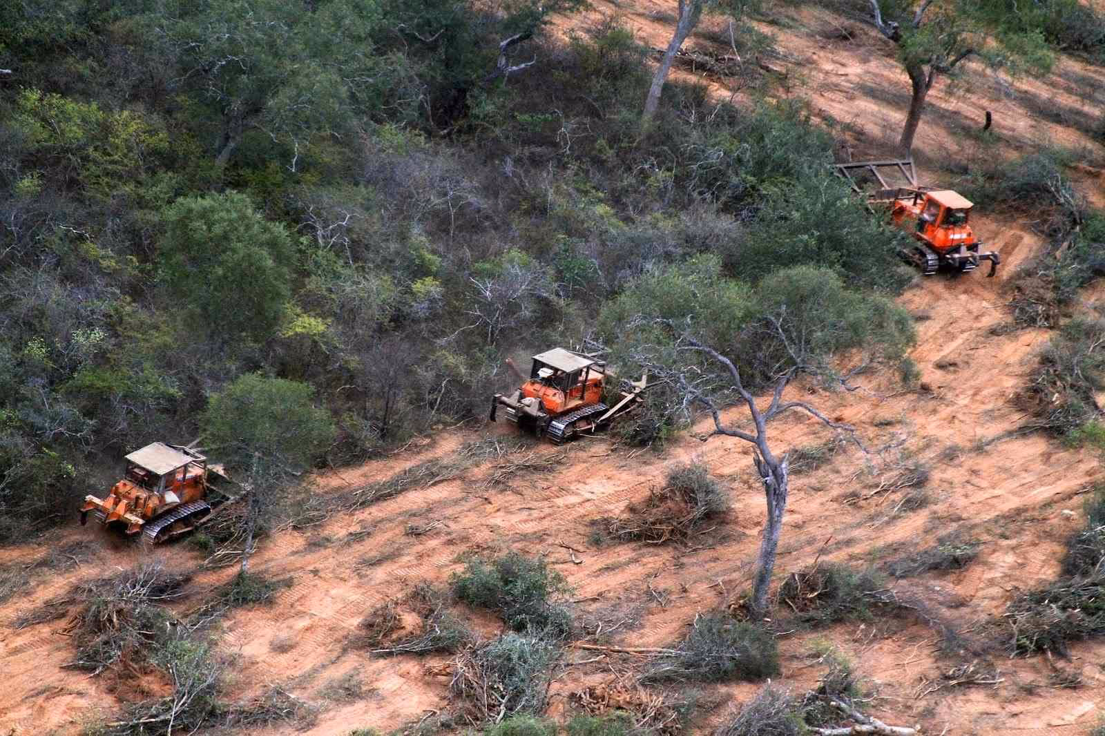 ¿Qué talleres se realizaron para validar el modelo de deforestación?
