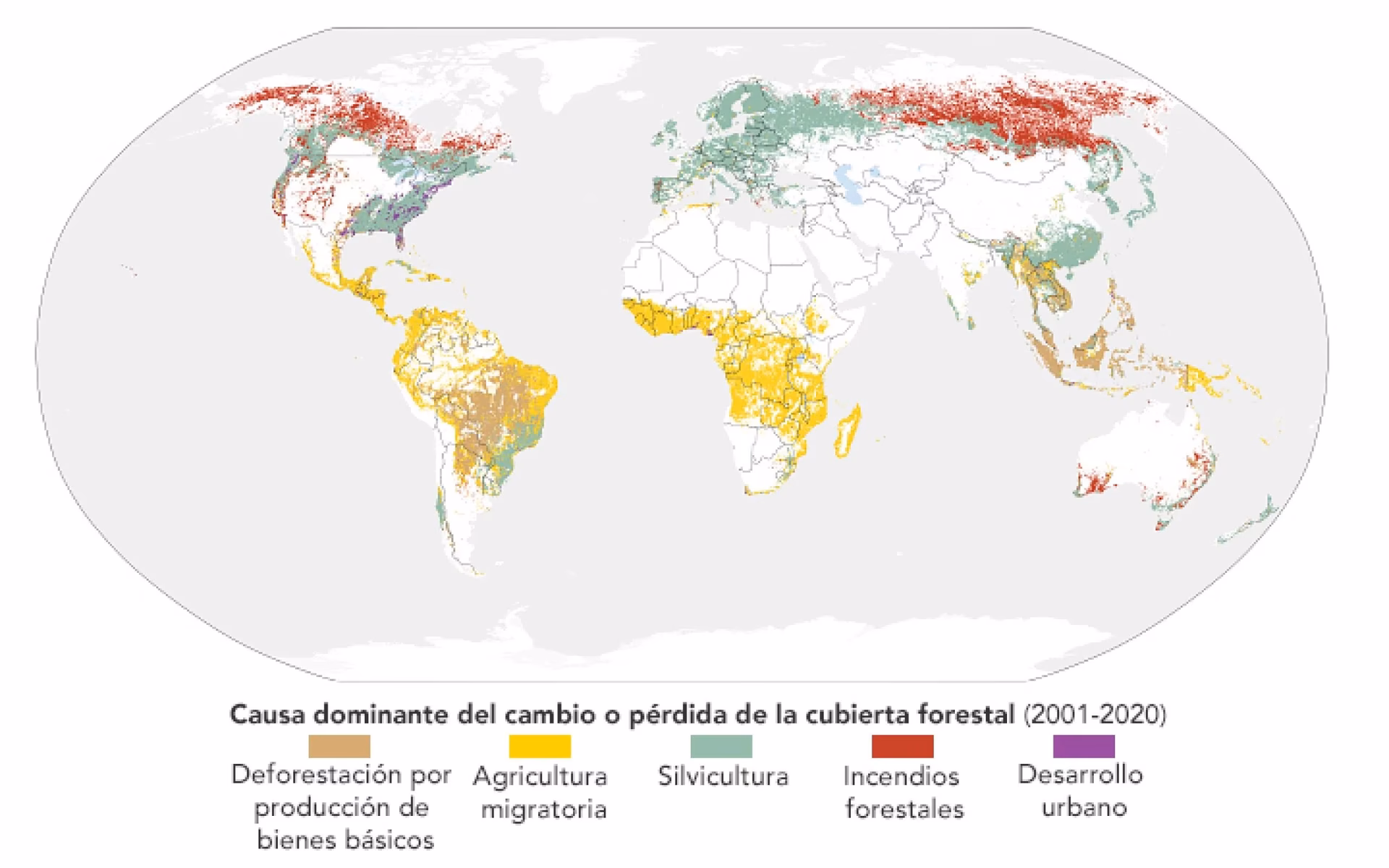¿Qué medidas pueden ayudar a contener la deforestación?