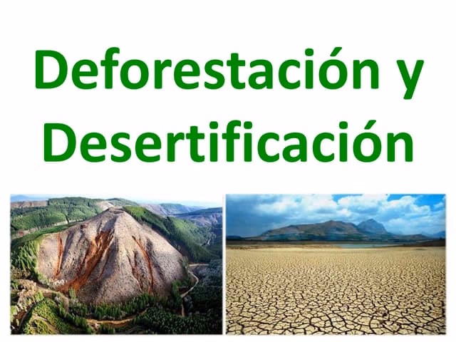 ¿Cuáles son las regiones con mayor impacto de la deforestación?