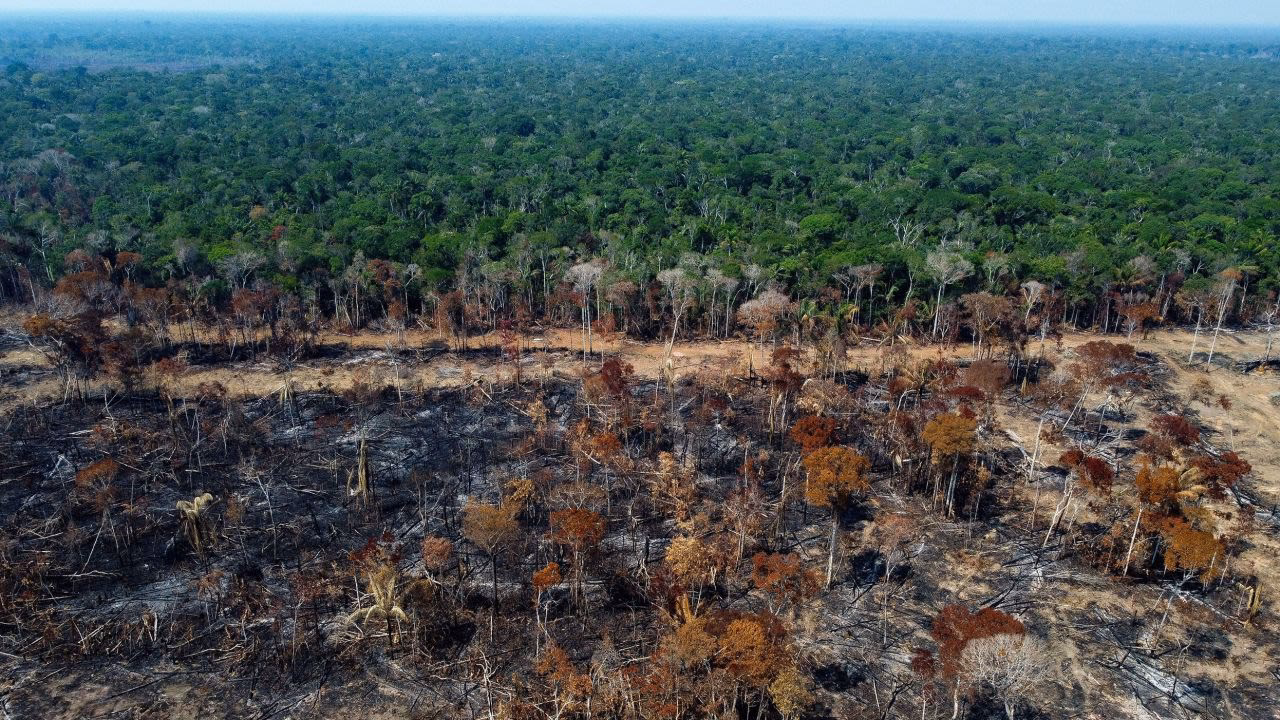 ¿Cómo está la deforestación en Brasil?