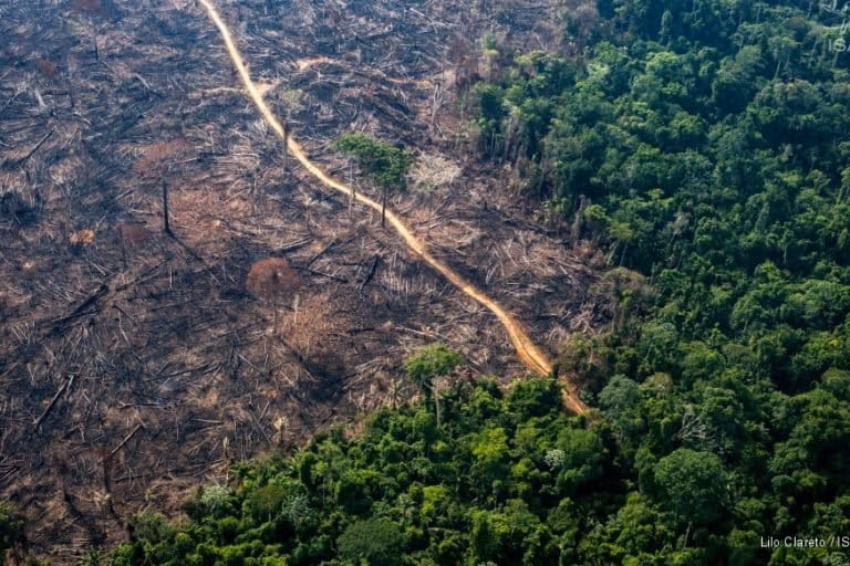 ¿Cómo está la deforestación en Brasil?