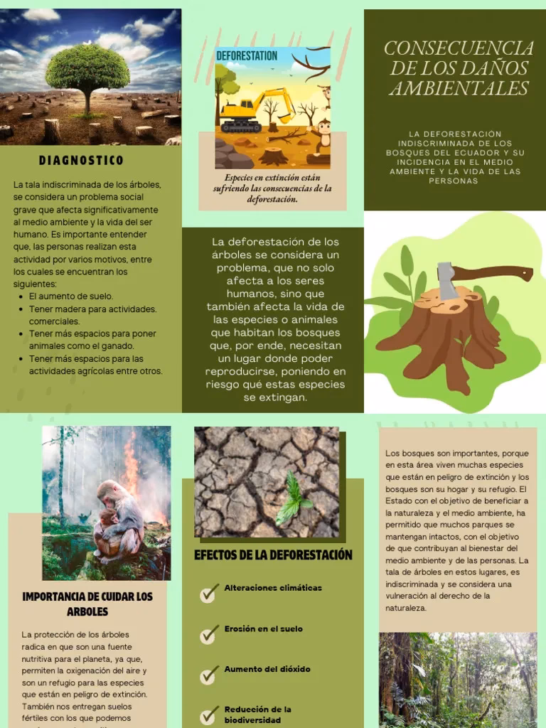 ¿Qué es el módulo temático deforestación?