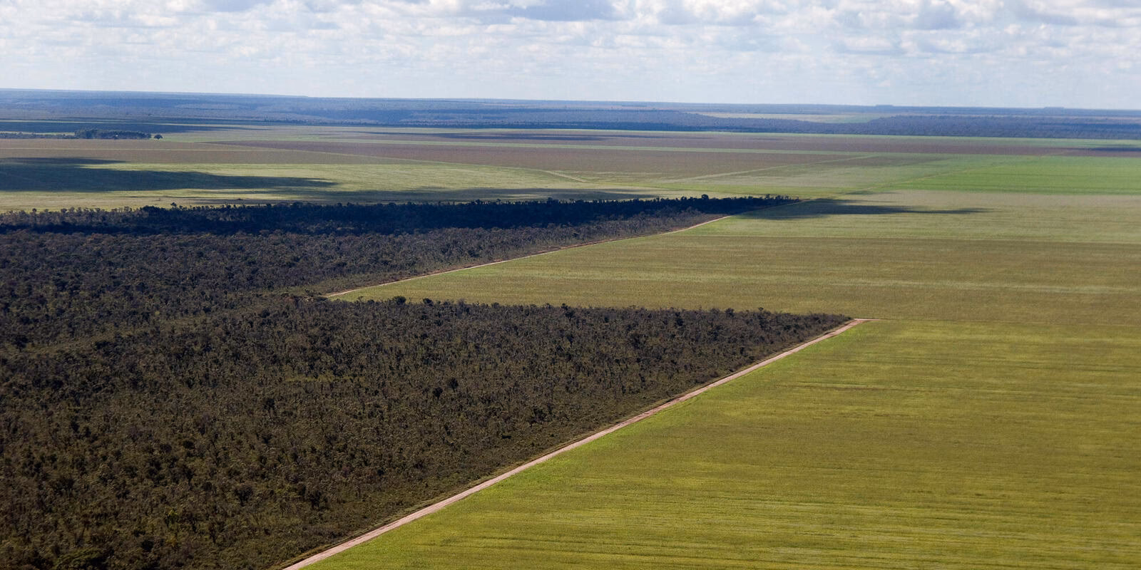 What is the deforestation linked to agriculture global forest review indicator?