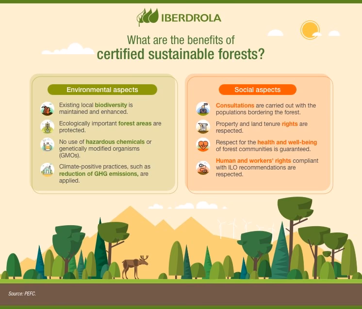 Why do we need a sustainable forest management system?