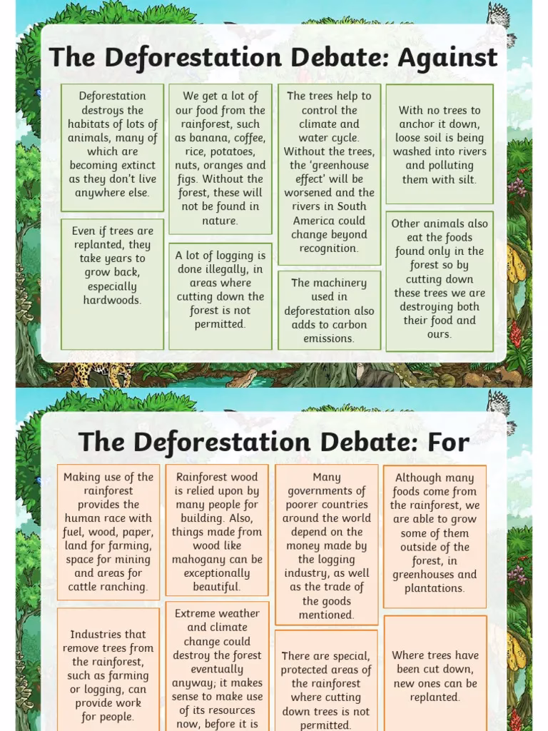 What can we do with deforestation?