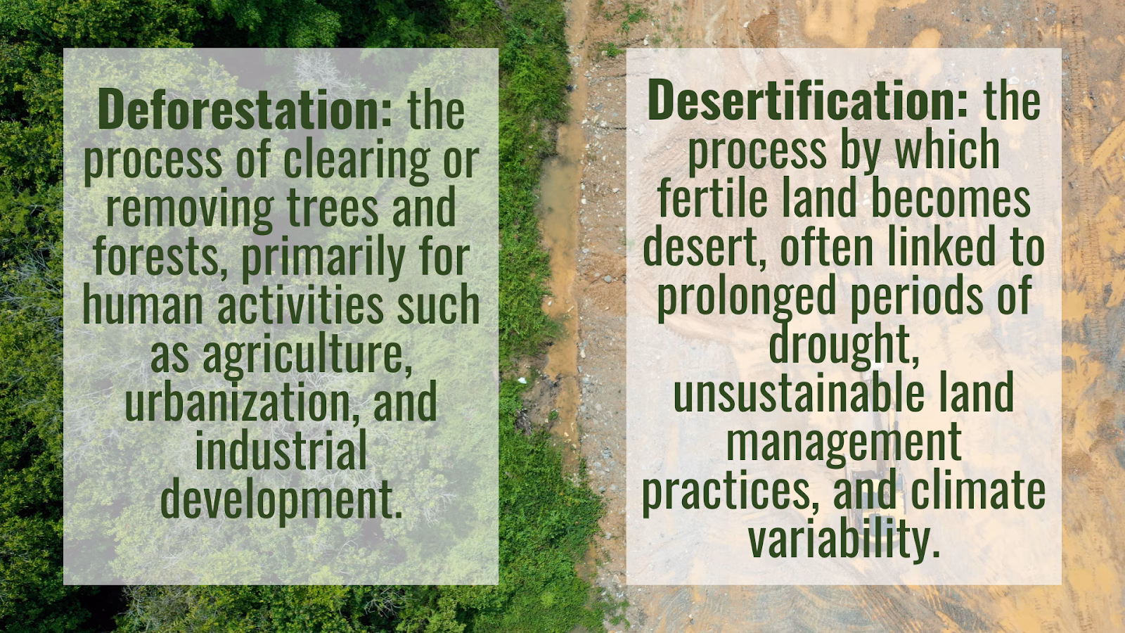 What is deforestation & desertification?