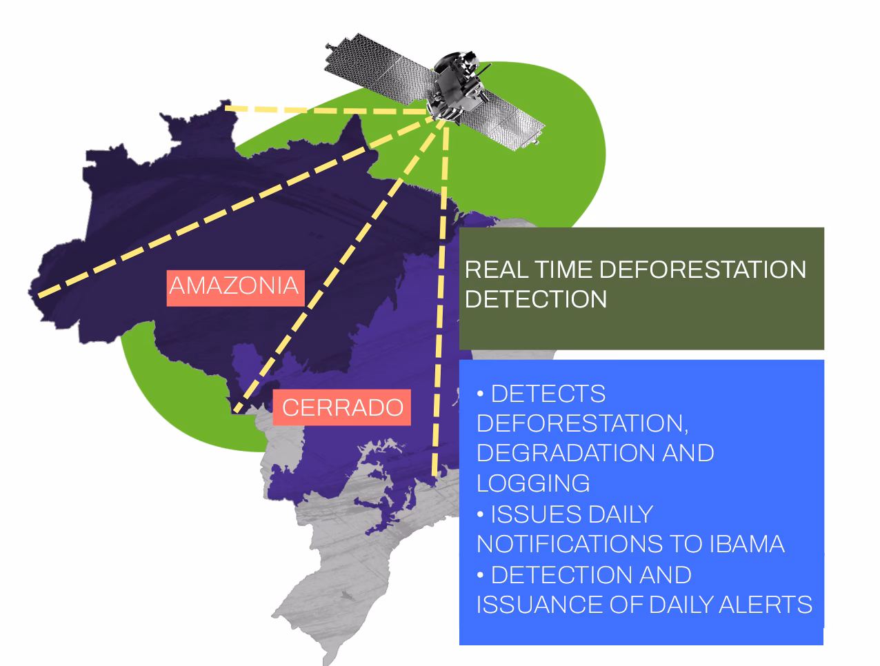 Why did PRODES start a deforestation detection system?