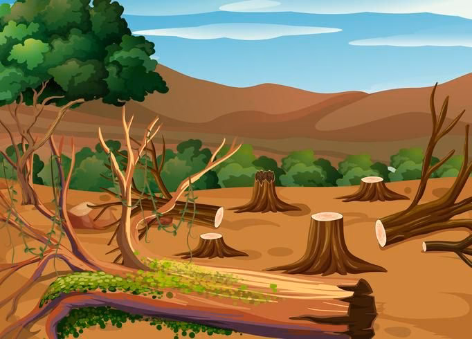 Where can I find deforestation illustrations?