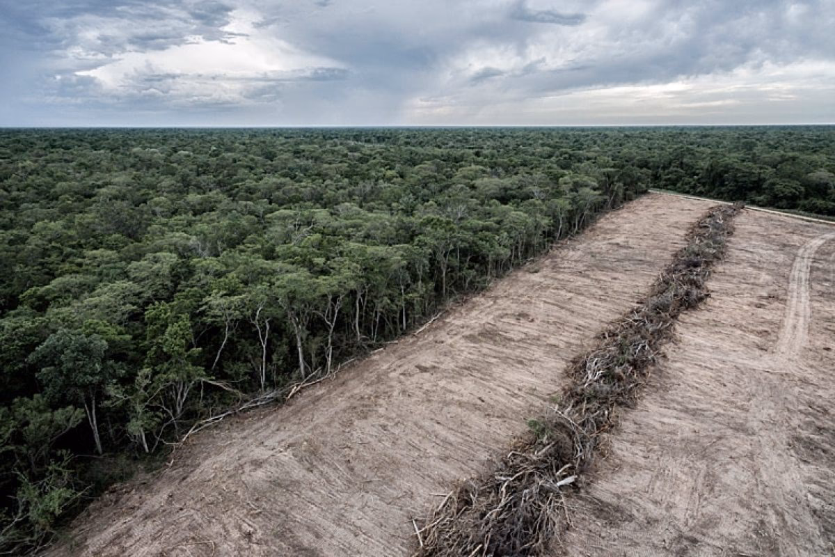 How does deforestation affect agriculture?