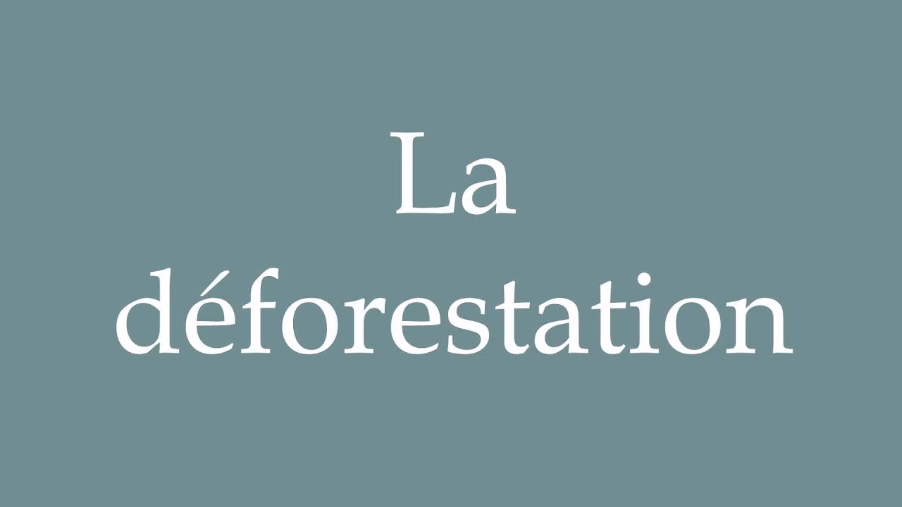 What is the ecological crisis of deforestation?