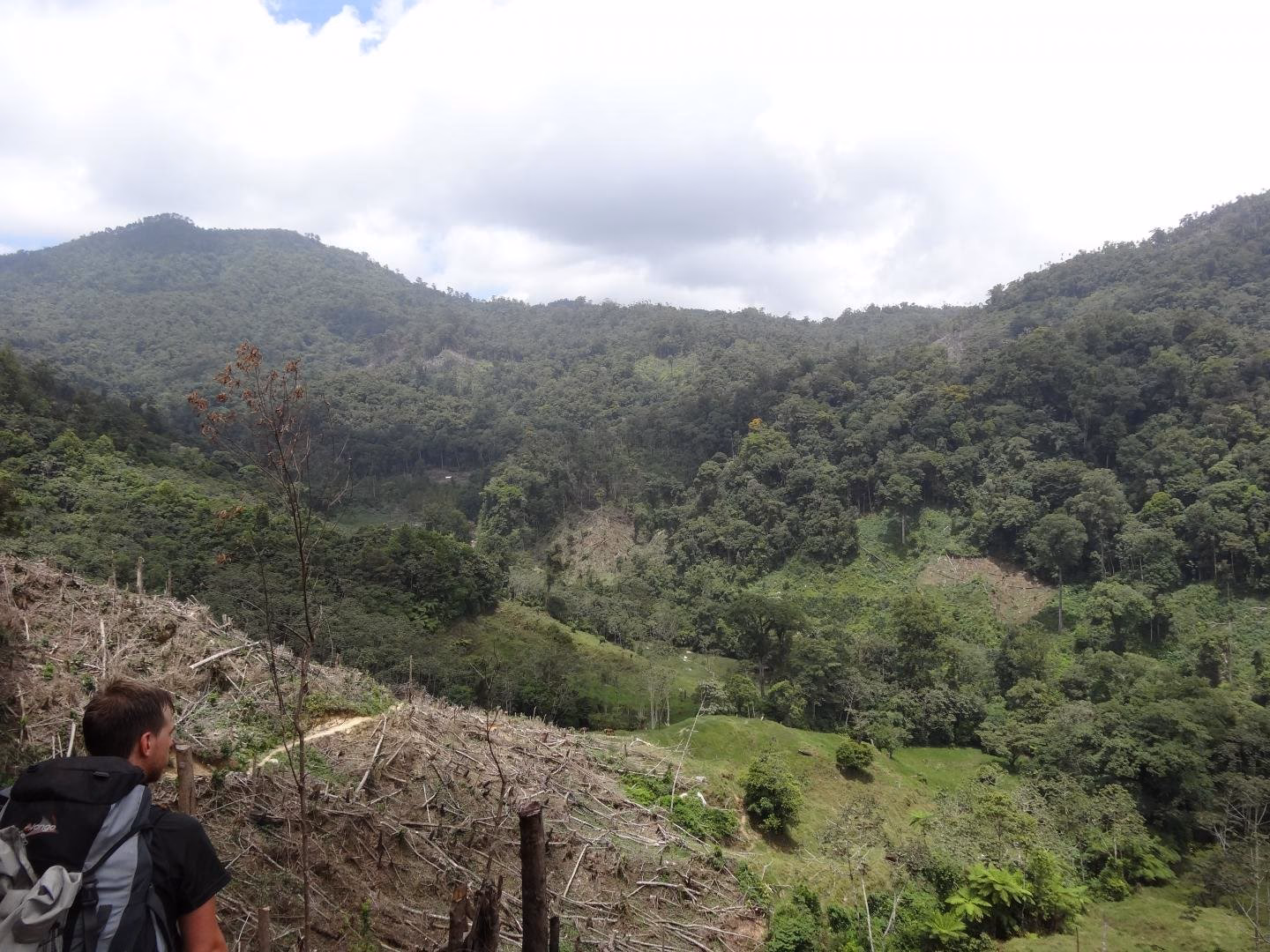 What can Honduras do about deforestation?