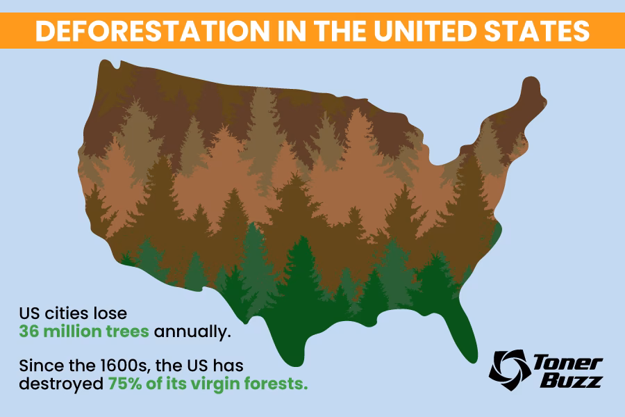 When did deforestation start?
