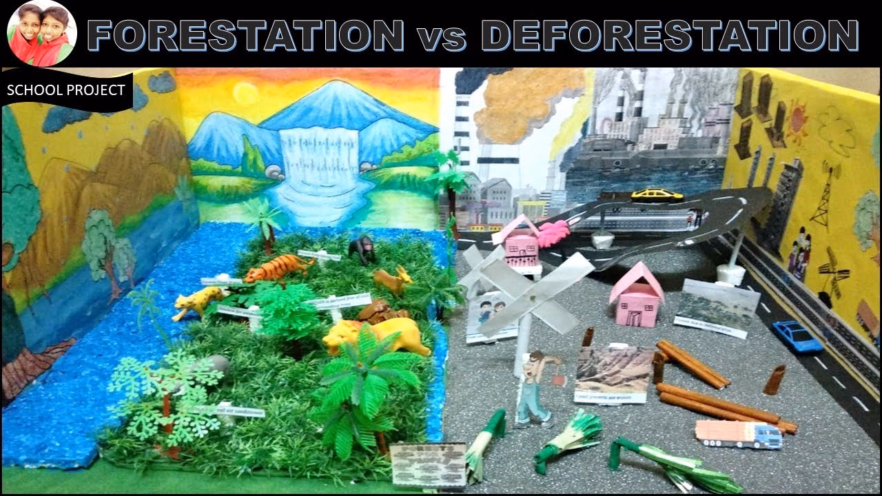 What is a deforestation project?