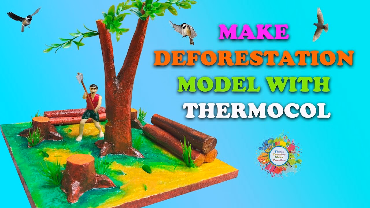 What is the reforestation of degraded land project?