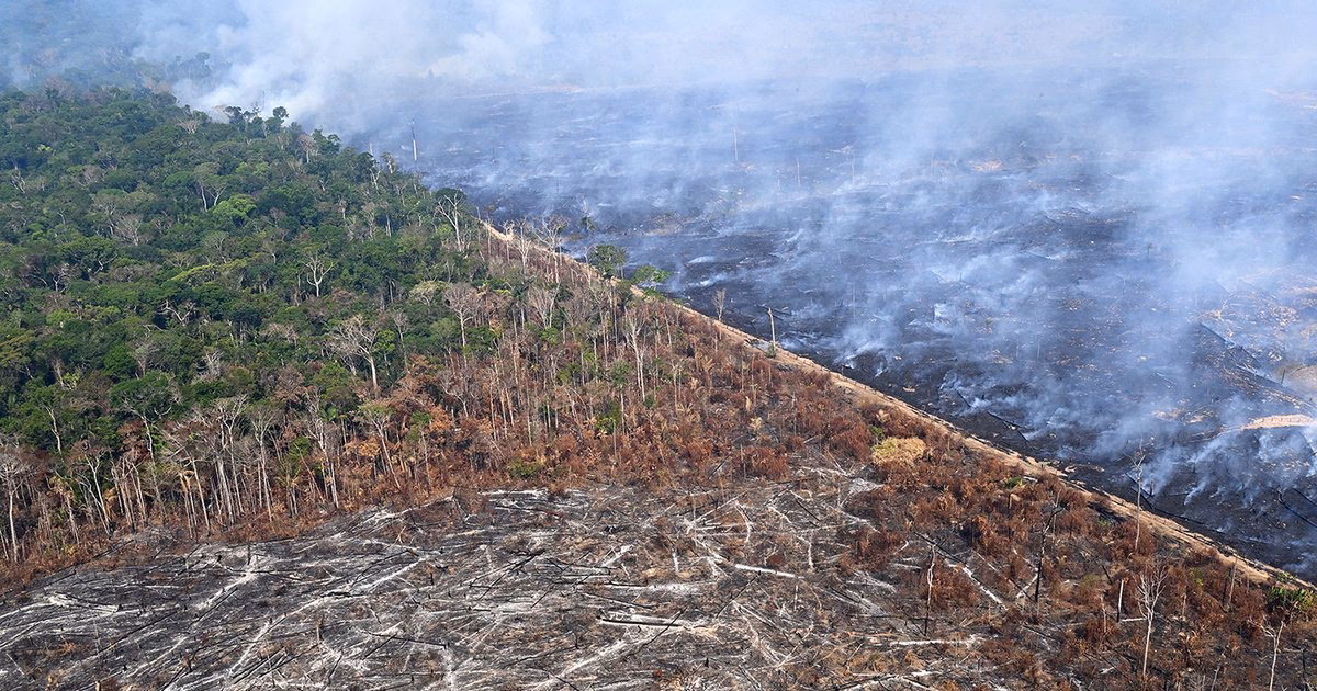 Does deforestation affect crop yields?