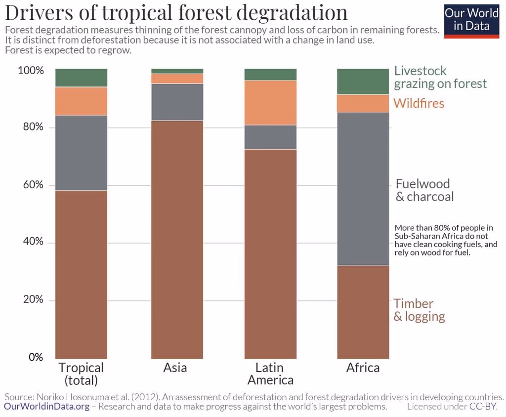 Is deforestation happening in the world?