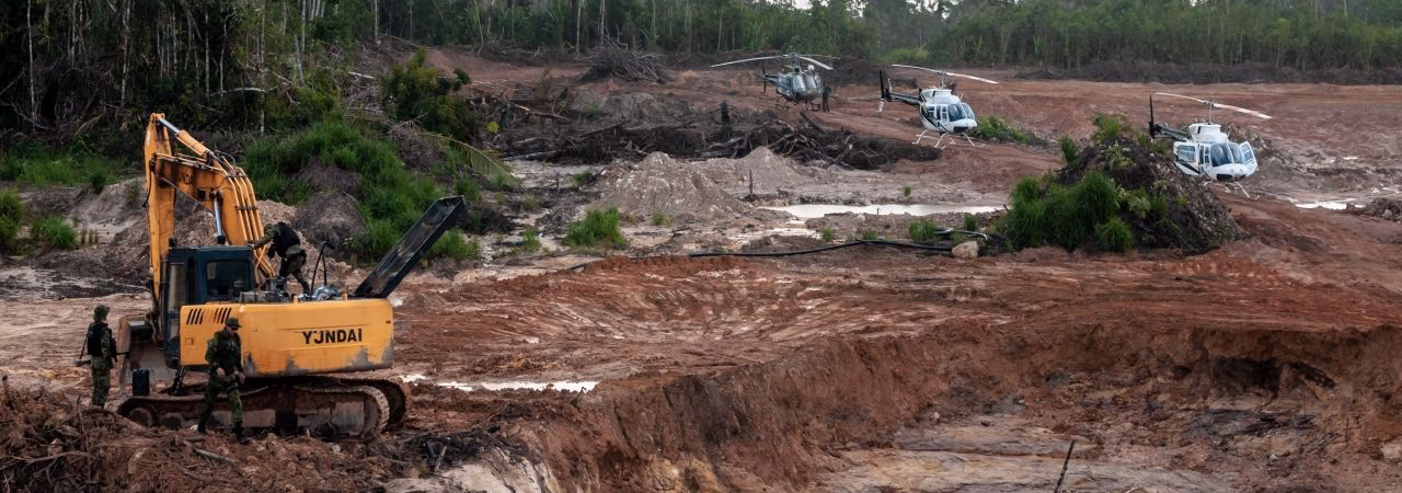 What are the best deforestation solutions?