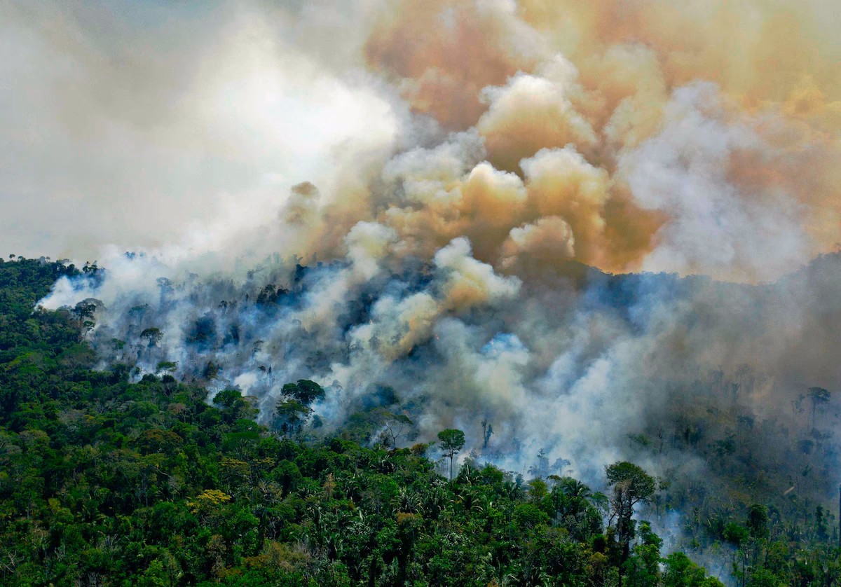 Will the world halt deforestation by 2030?