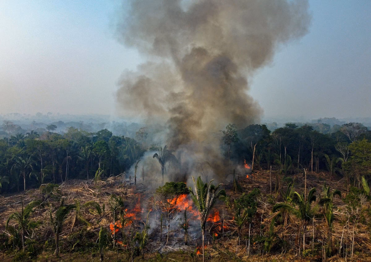 Is deforestation pushing the Amazon to a tipping point?