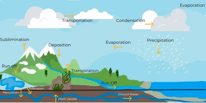 Could deforestation disrupt the water cycle?